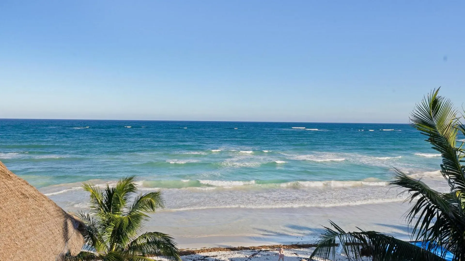 Playa Canek Beachfront Eco Hotel  Tulum